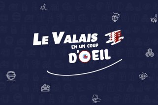 Valais en un coup d'oeil_vins